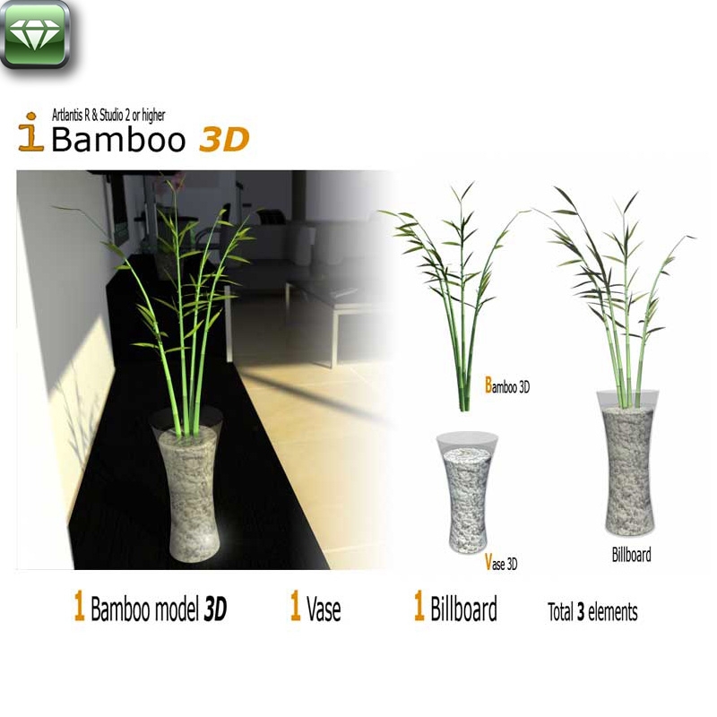 Bamboo