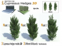 Cupressus